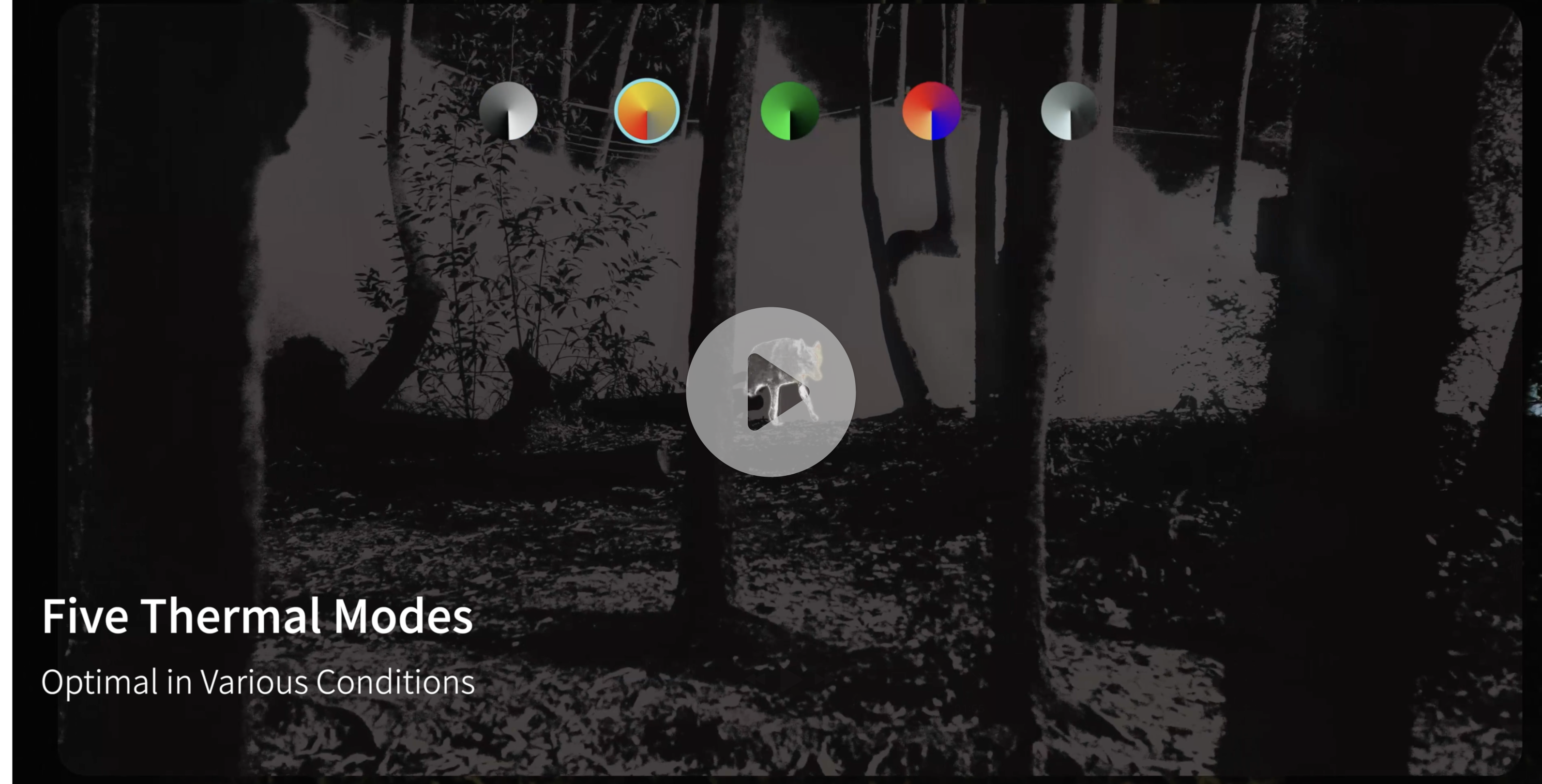 Load video: